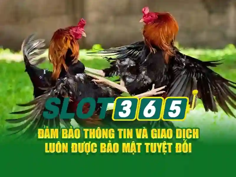 Khuyến mãi và chương trình thưởng