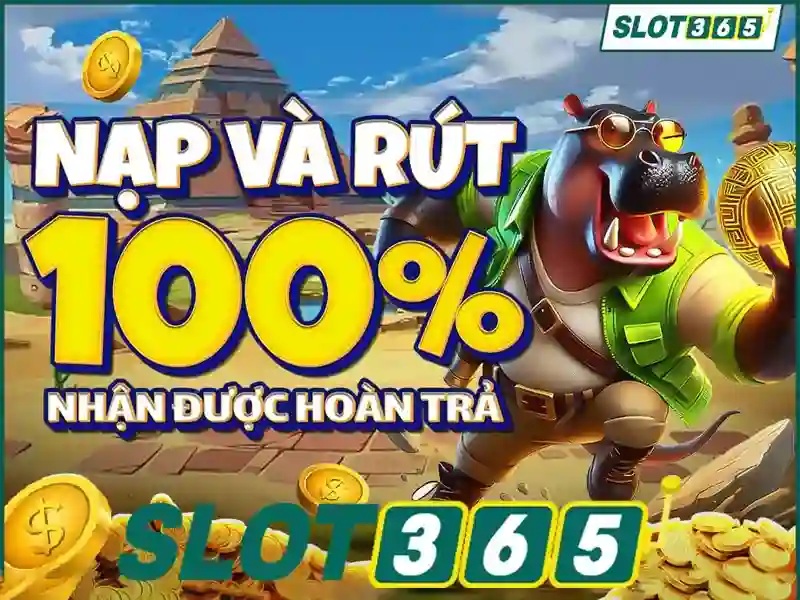 Slot365 - Nền tảng casino trực tuyến hàng đầu