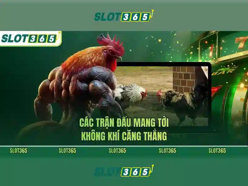 Slot365 - Khám phá nền tảng trò chơi máy xèng trực tuyến