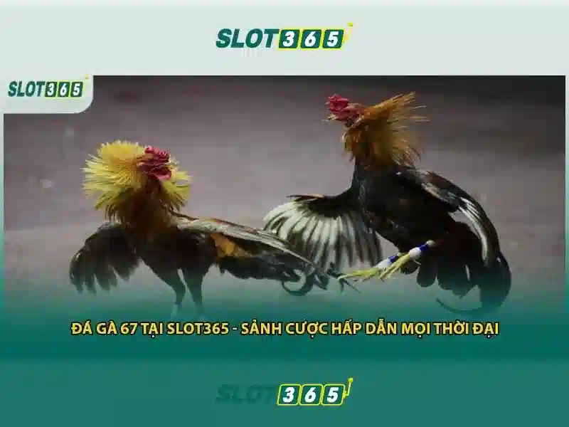 Slot365 – Trải nghiệm chơi slots trực tuyến uy tín và thú vị