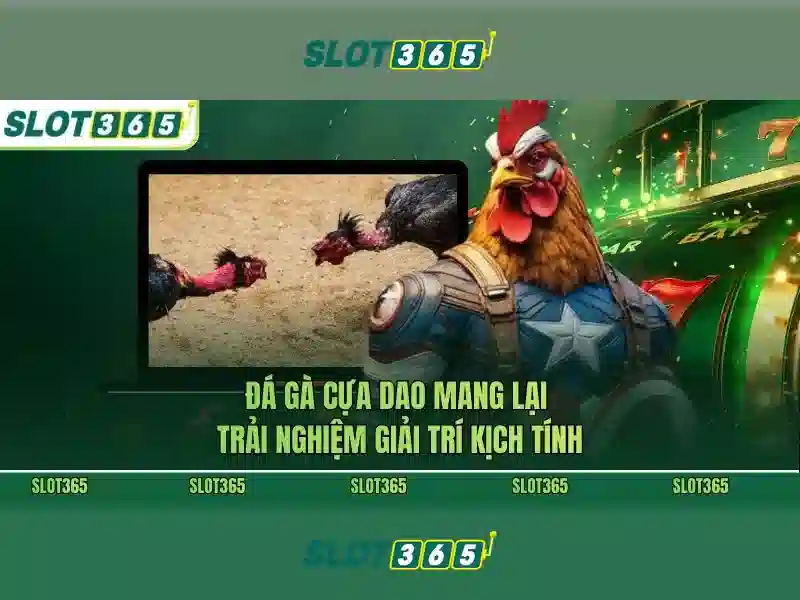 Slot365 - Đánh giá và trải nghiệm