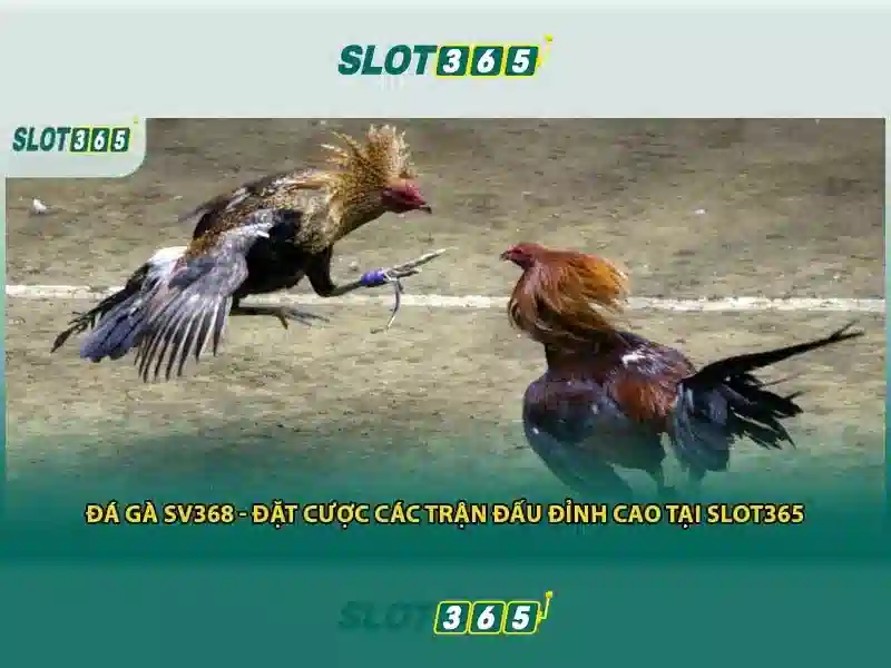 Slot365: Đánh giá tổng quan về sòng slot trực tuyến