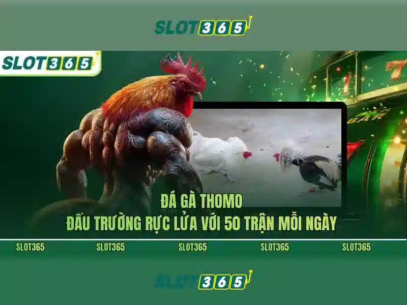 Slot365: Nền tảng chơi slot trực tuyến - Trải nghiệm đỉnh cao