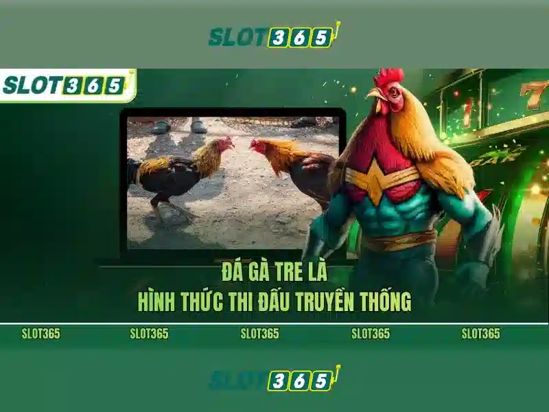 Đánh giá các tính năng nổi bật của Slot365