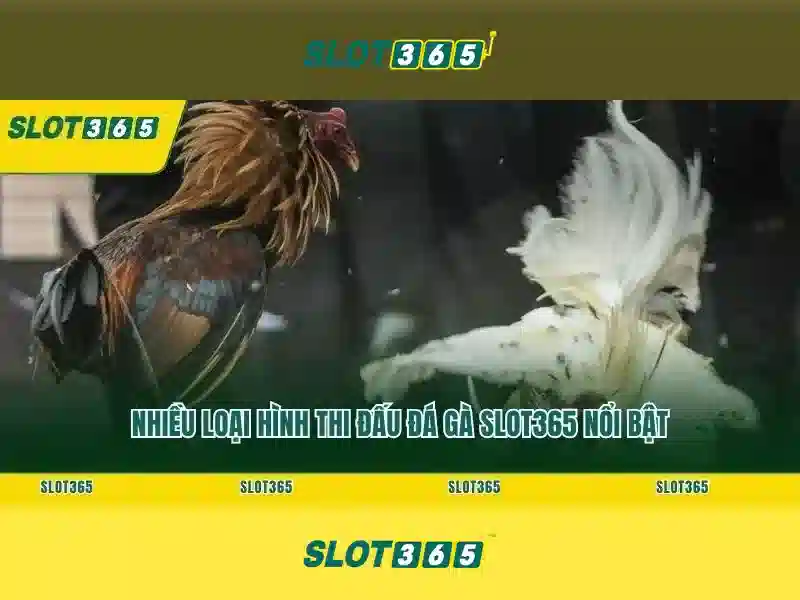 slot365-ui