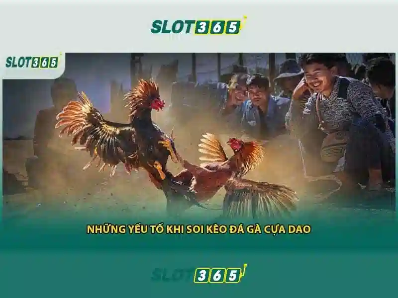 Vài nét về nền tảng