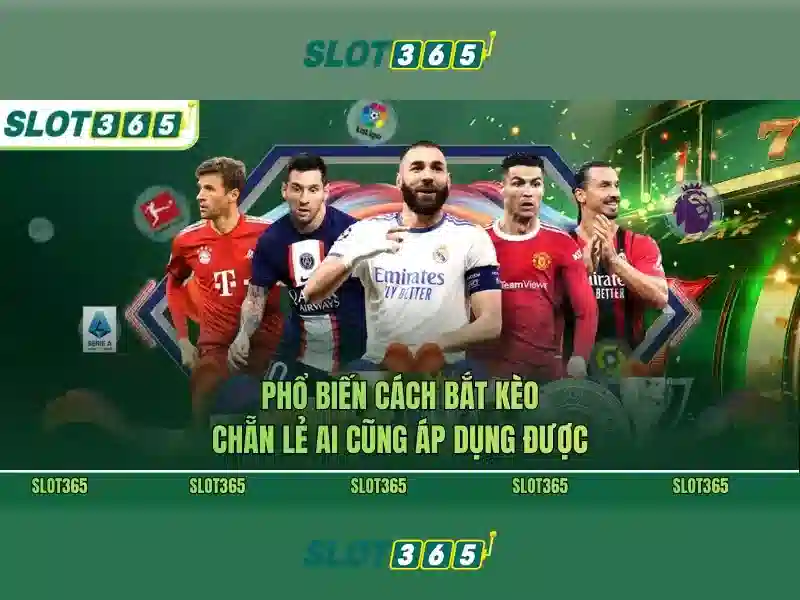 Slot365 - Đánh giá nền tảng cược trực tuyến và trò chơi xèng hàng đầu