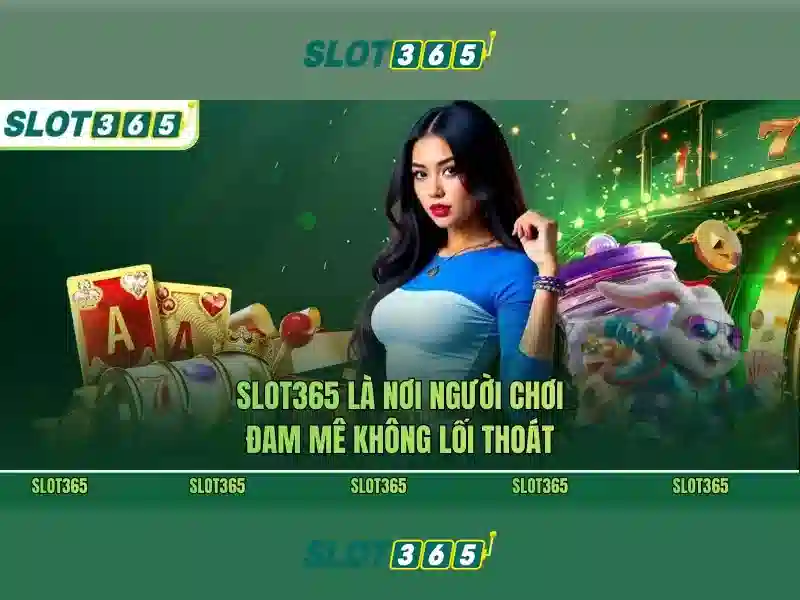 Khuyến mãi và hỗ trợ khách hàng