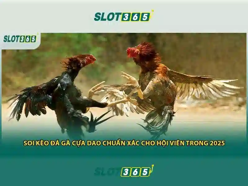 Trò chơi và nhà cung cấp