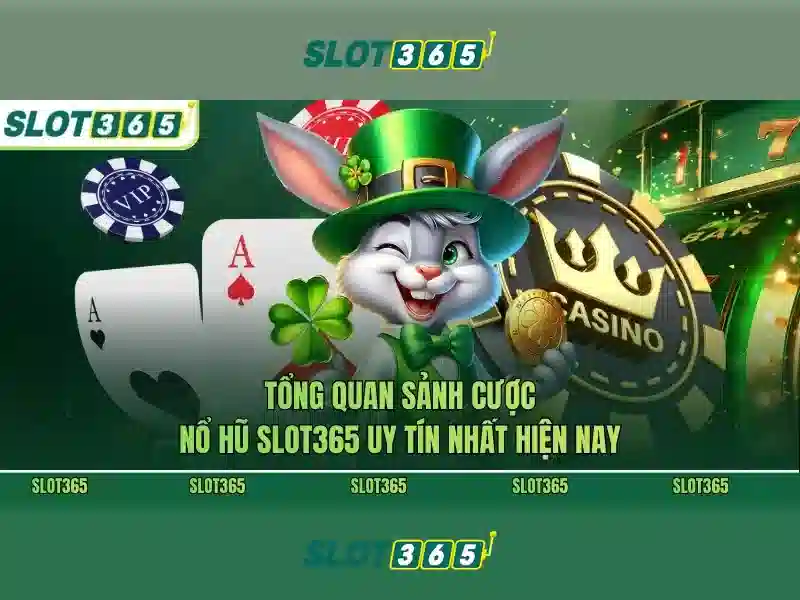 Slot365: Trải nghiệm chơi slot đỉnh cao