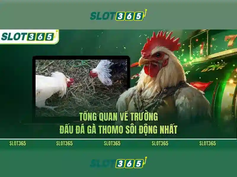 An toàn và quản trị tài khoản