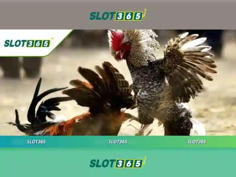 Slot365: Nền tảng slot trực tuyến an toàn và đa dạng