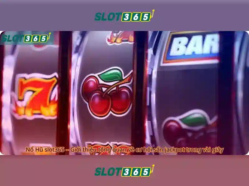 slot365-overview