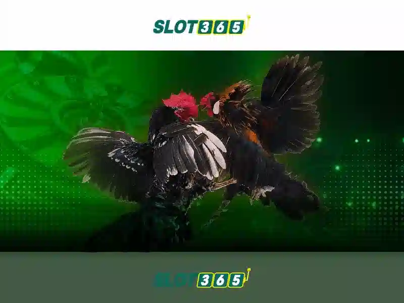 Slot365 là gì?