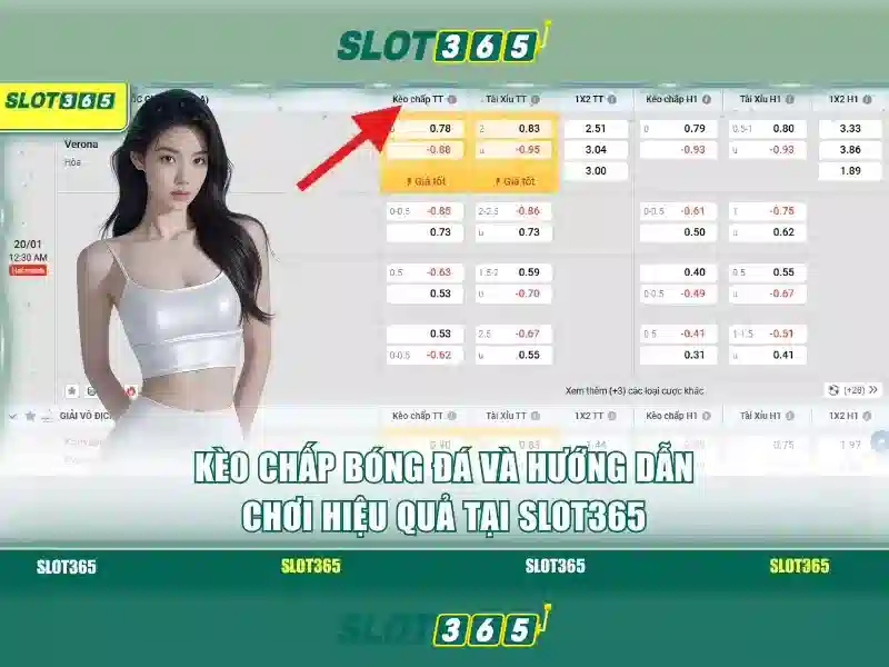Giao diện và trải nghiệm người dùng