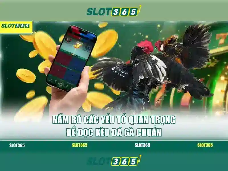 Giao diện người dùng và trải nghiệm