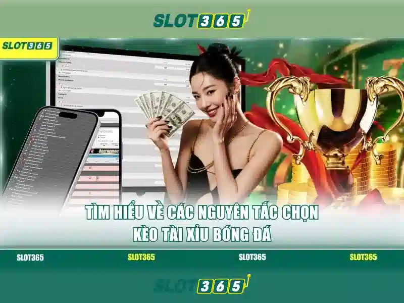 Giao diện và trải nghiệm người dùng