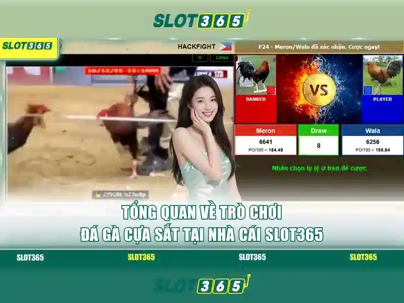 Tính năng bảo mật và thanh toán an toàn