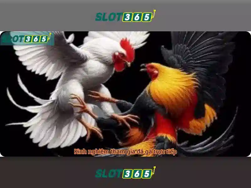 Gioi thieu Slot365