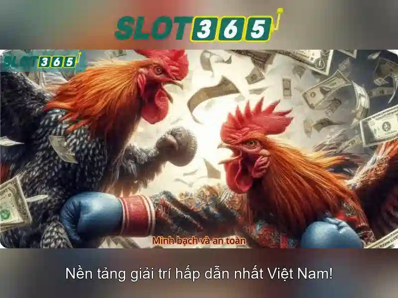 Slot365 là gì?