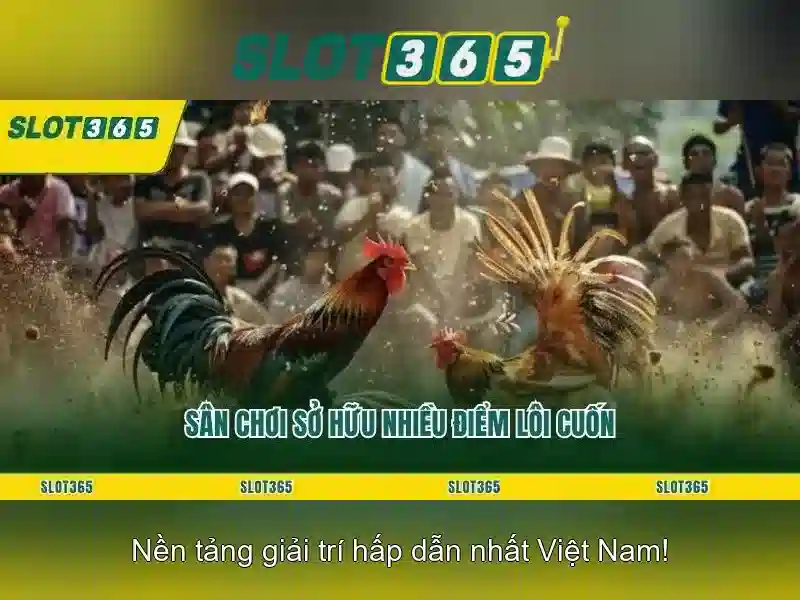 Slot365 - Trò chơi và ưu đãi