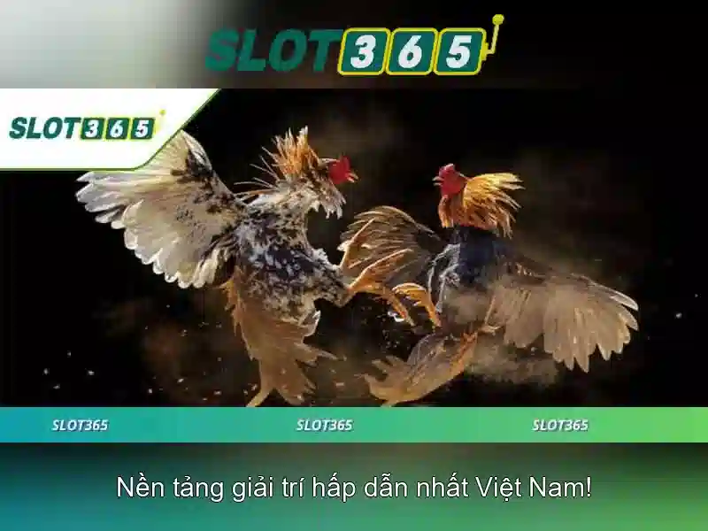 slot365 - Nền tảng chơi slot trực tuyến đáng tin cậy