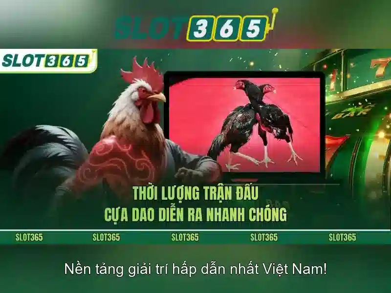 Giới thiệu Slot365
