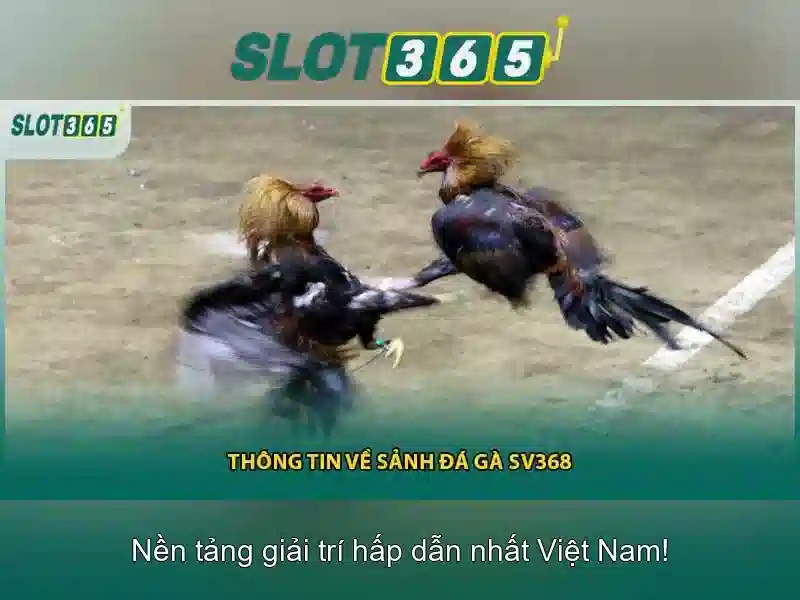 Hướng dẫn đăng ký và mẹo chơi