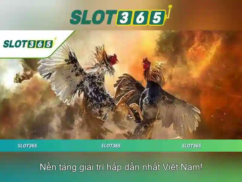 Slot365 – Tổng quan về nền tảng chơi slot trực tuyến