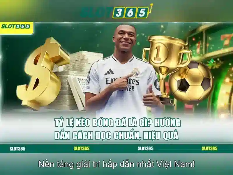 Slot365 là gì và tại sao nó lại thu hút người chơi