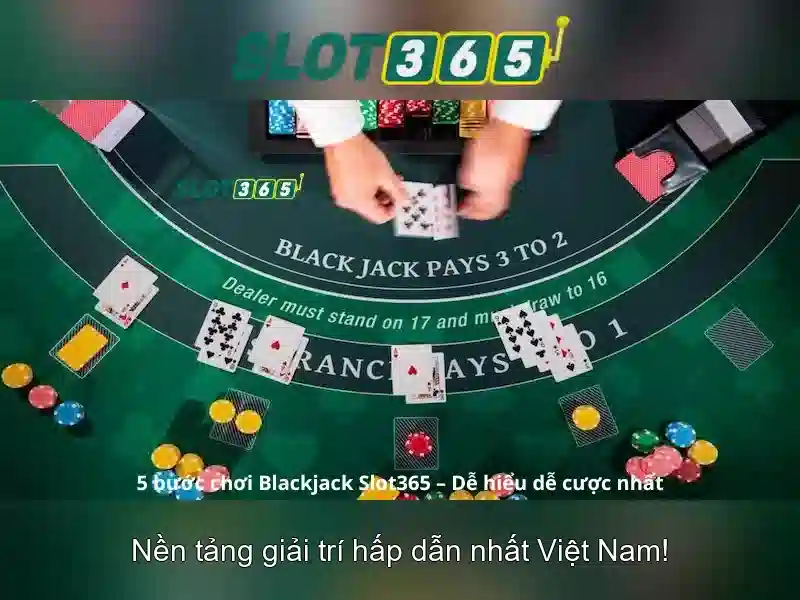 Tại sao chọn Slot365