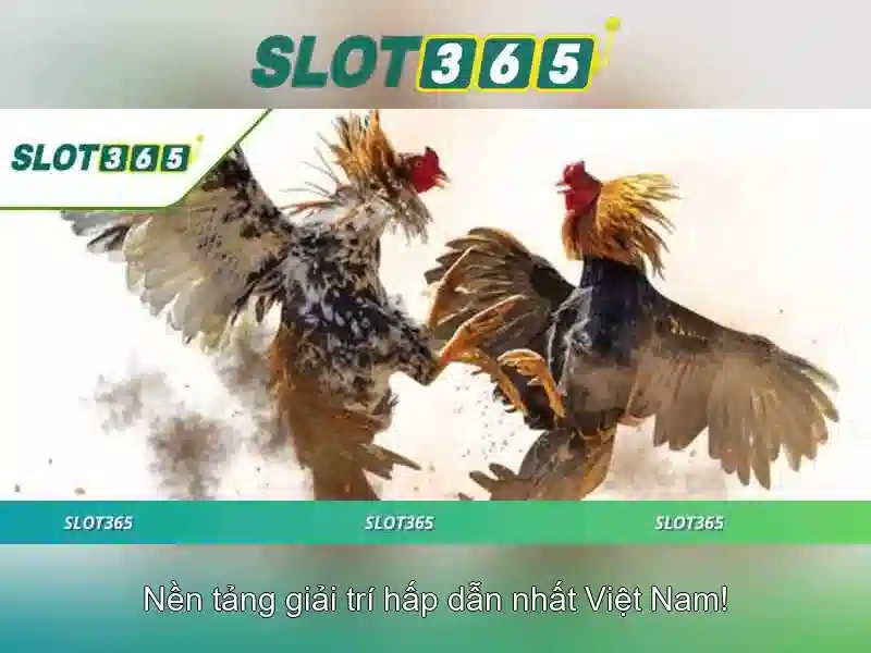 Slot365 – Trải nghiệm chơi slot trực tuyến hàng đầu