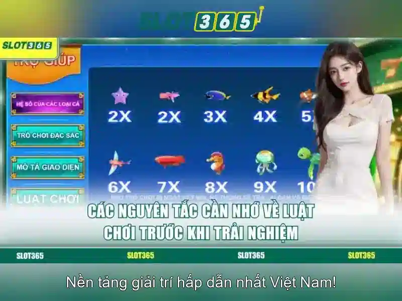 Hệ thống khuyến mãi hấp dẫn và thanh toán an toàn