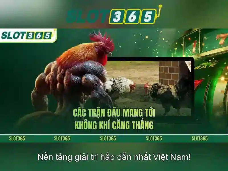 Danh mục trò chơi và slots