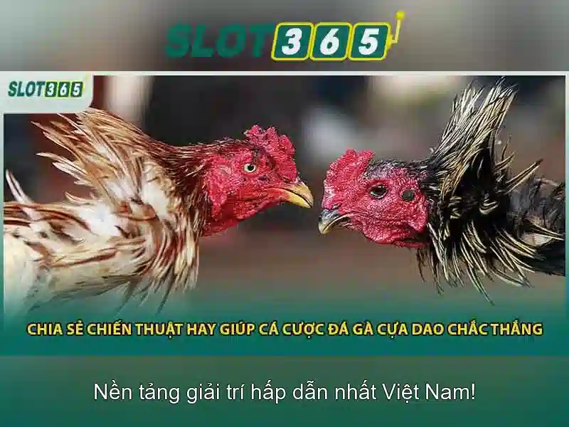 Khuyến mãi và chương trình thưởng