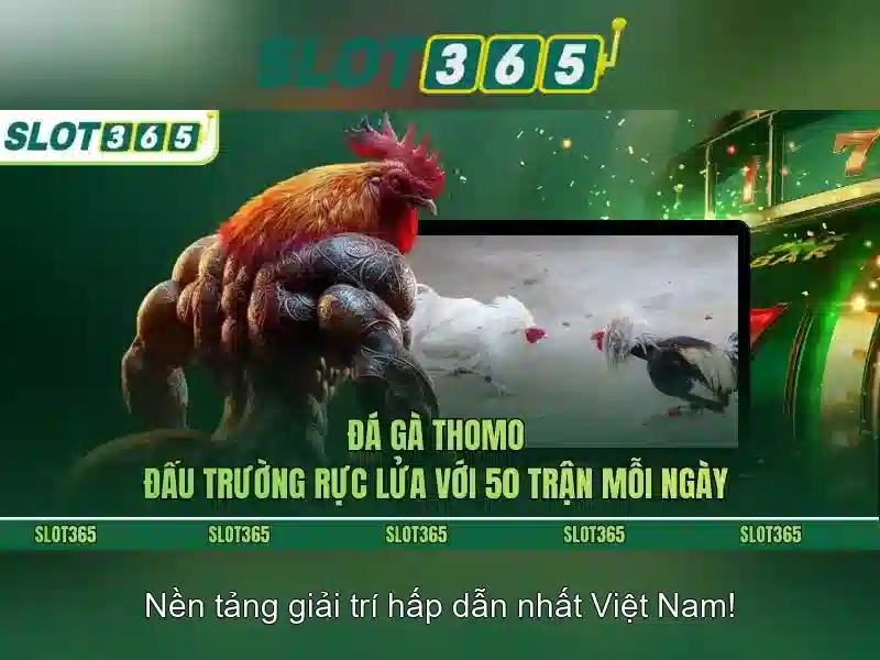 Slot365 – Nền tảng đặt cược trực tuyến uy tín