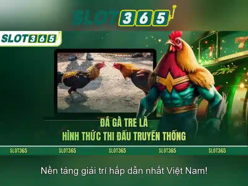 Slot365: Đánh giá nền tảng trò chơi slot trực tuyến