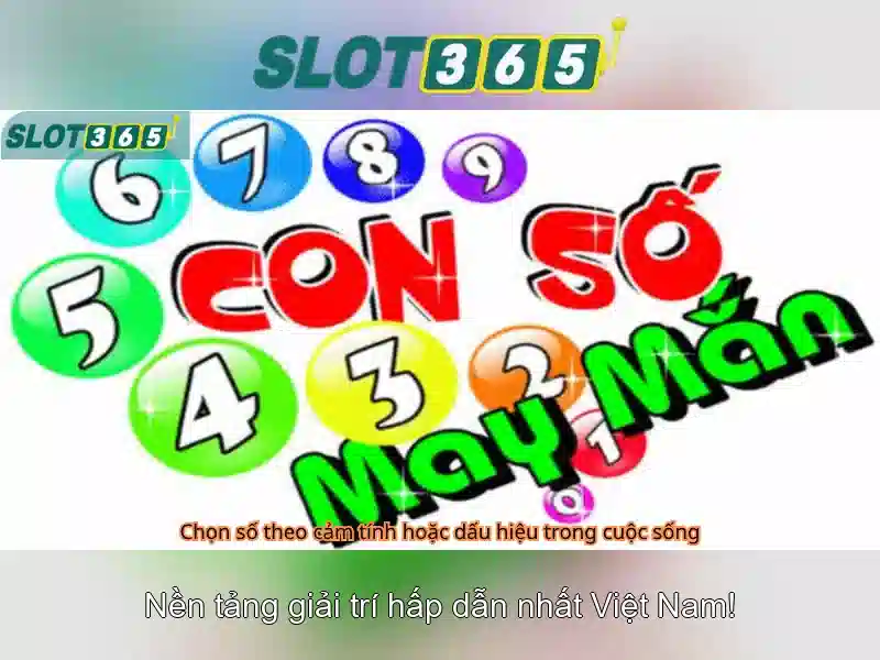 Lợi ích khi chơi trên Slot365