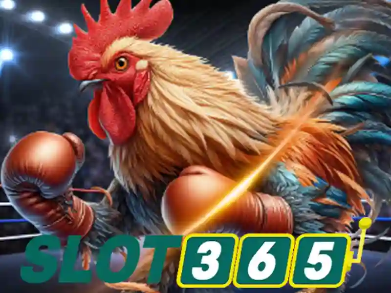 Slot365 là gì