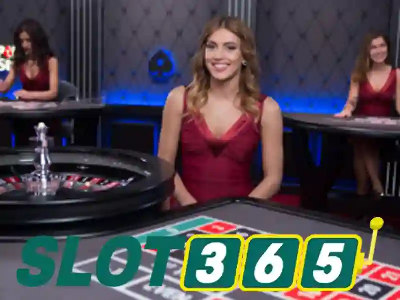 Slot365: Đánh giá nền tảng máy đánh bạc trực tuyến