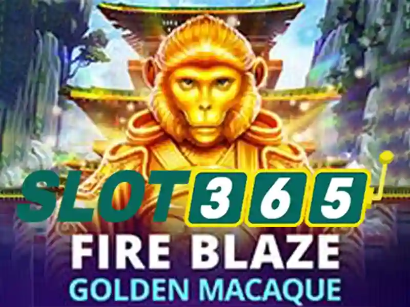 Slot365 - Nền tảng chơi slot trực tuyến an toàn và đáng tin cậy