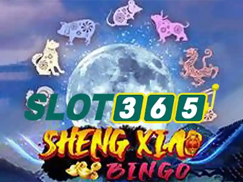 An toàn khi chơi và quản lý ngân sách